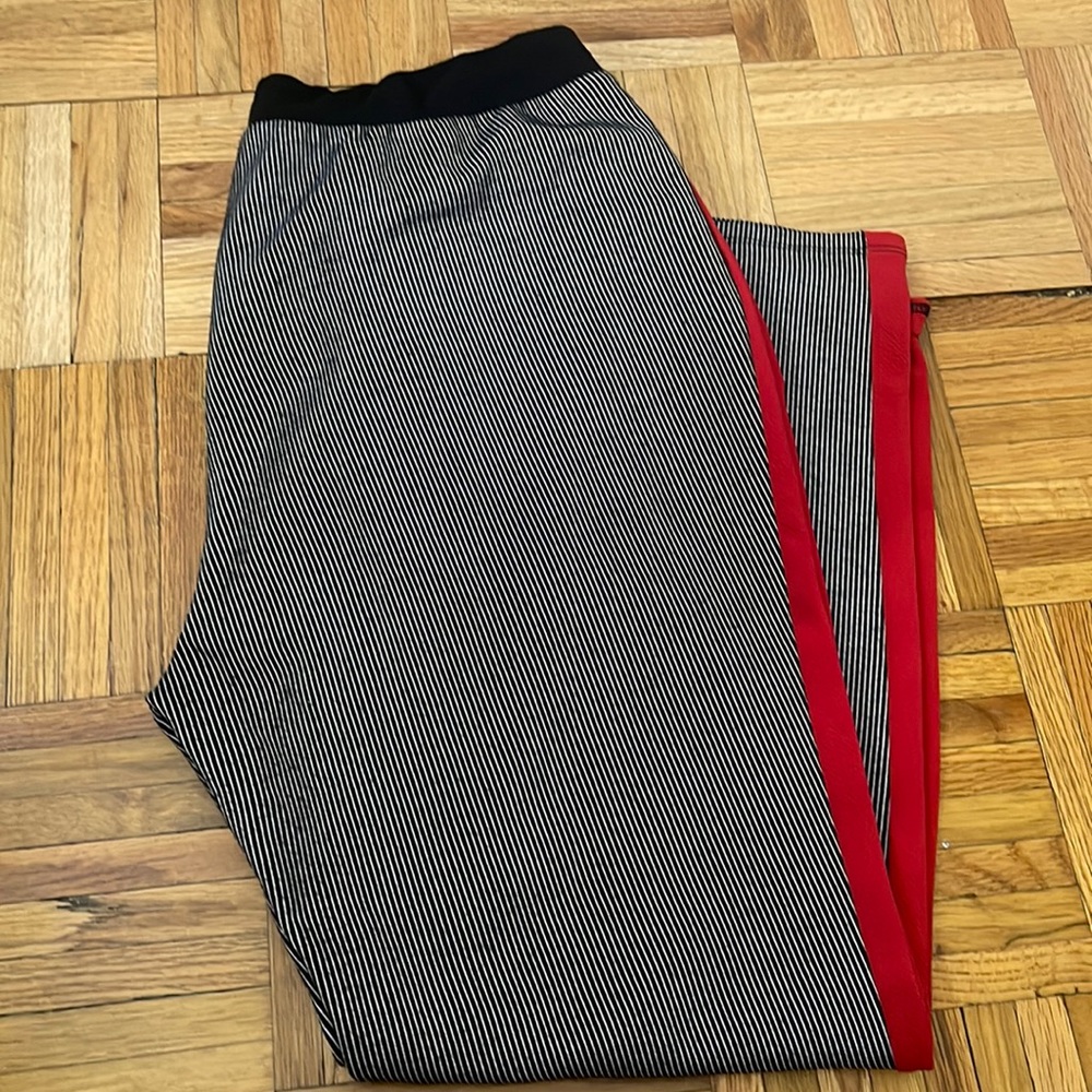 Zara pants